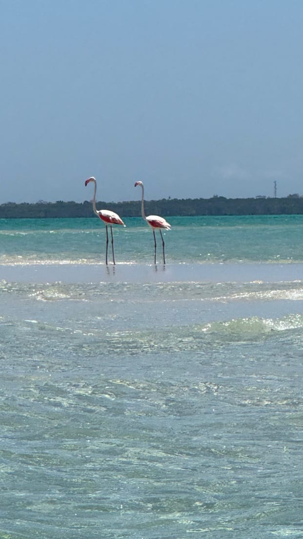 A Complete Guide to Visiting Amboseli National Park