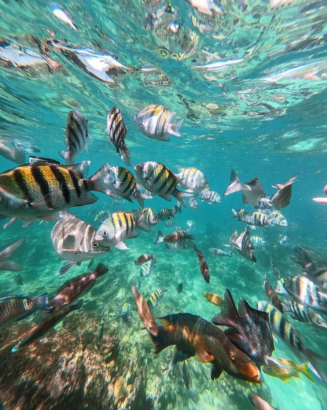 About Hakuna Matata Adventures